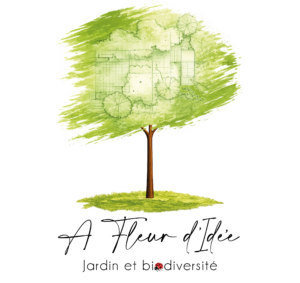 logo afleurdidee petit format transparent