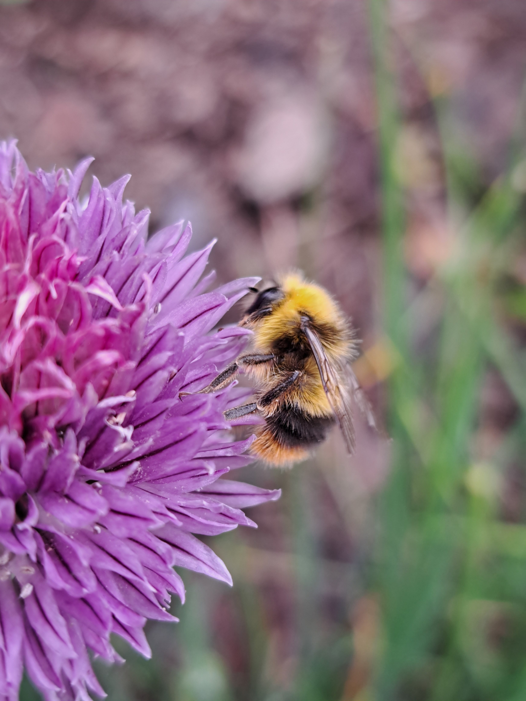 design sans titre (5)